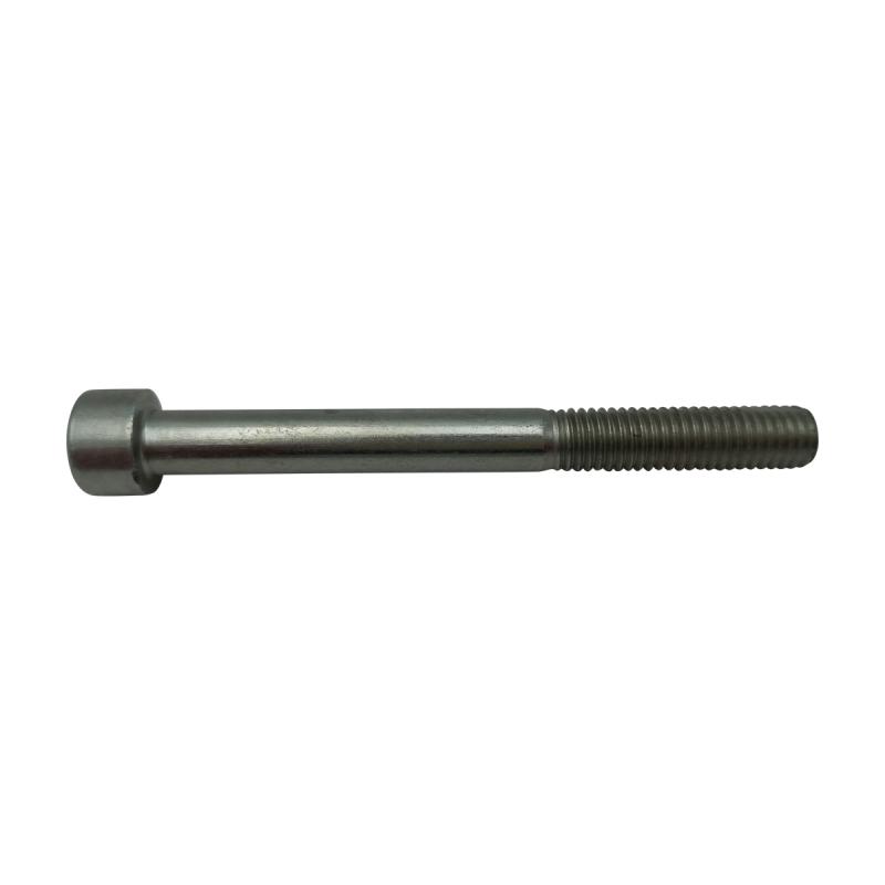 107-098 cylinder screw A03030209