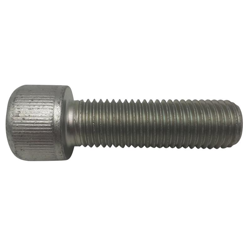 103-275 cylinder screw A03031311