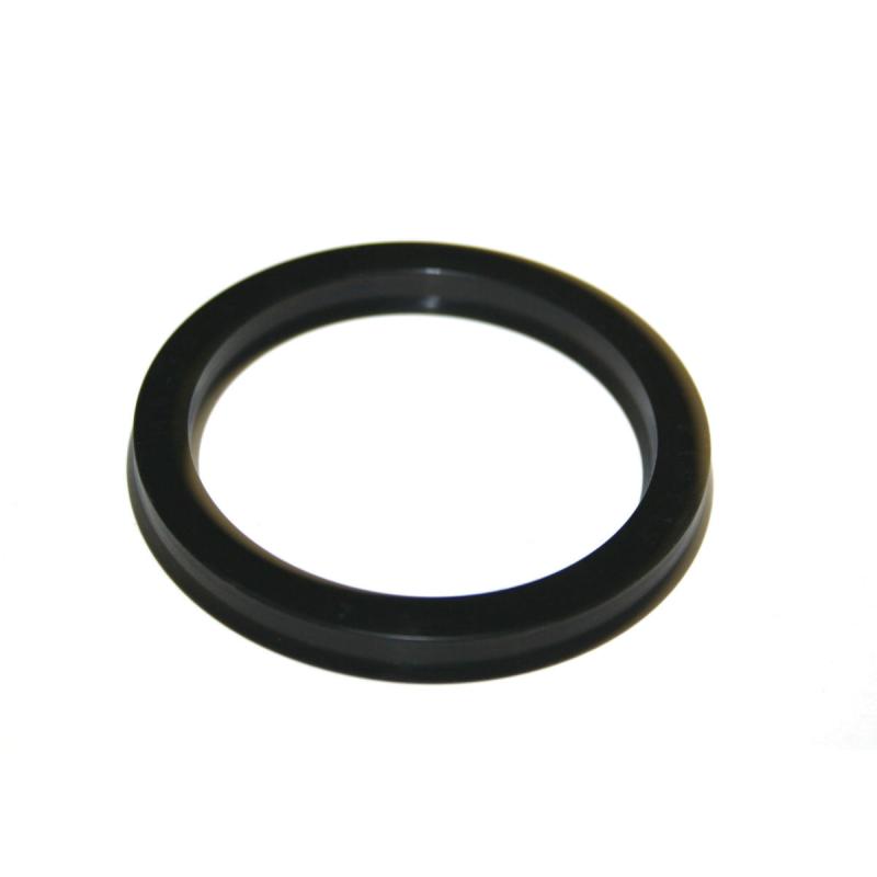 101-499 уплотнительное кольцо L02-021 A07100504